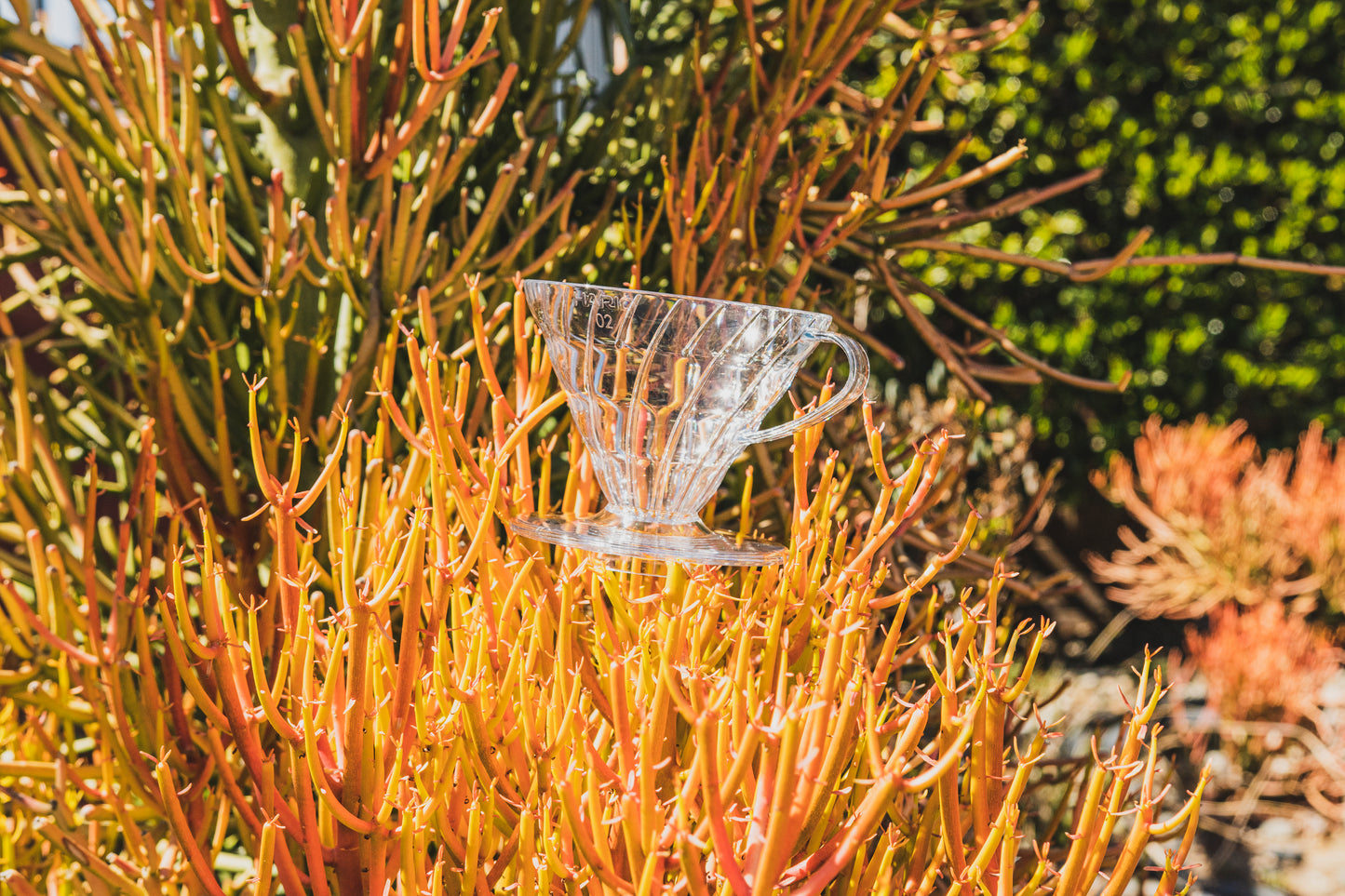 Hario V60 gotero de café de plástico 02 Transparente